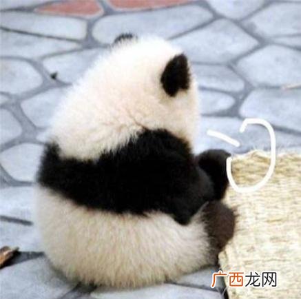 马泰克洗衣液是谁代言的,马泰克洗衣液哪里生产的