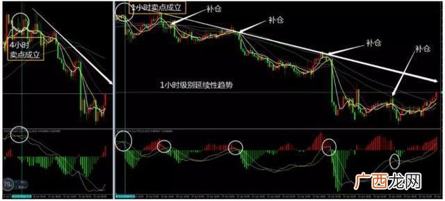 预测未来涨100倍的牛股 未来100倍牛股