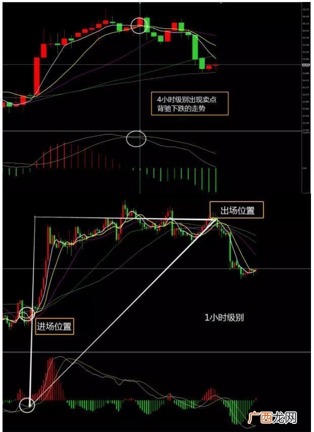 预测未来涨100倍的牛股 未来100倍牛股