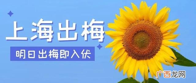 雪糕批发价格表 附近雪糕批发部地址