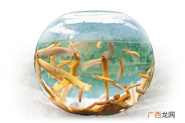 鱼塘养殖计划书的范本 渔业创业理由