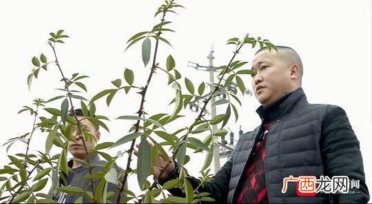 四川王涛,王涛创业者