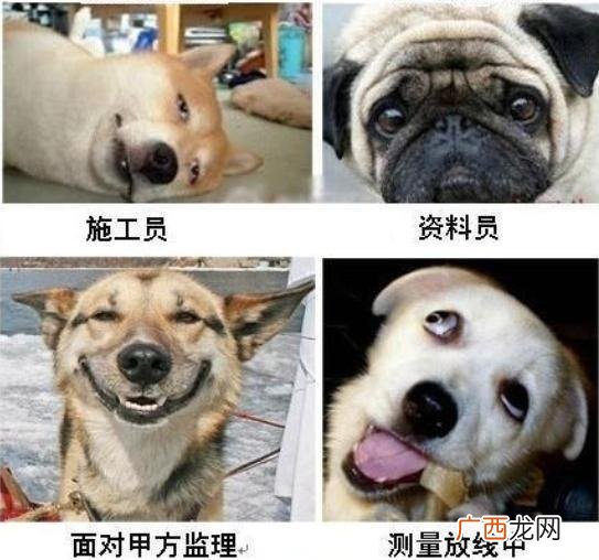 项目立项后干什么 什么是项目立项的标志