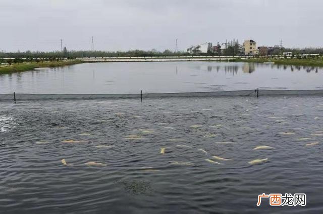 银川市就业局,银川市创业办麻惠丽