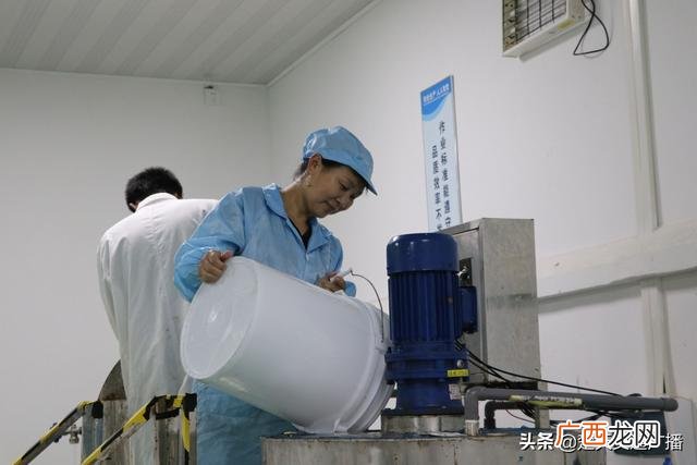 批发洗衣液哪里便宜 洗衣液厂家联系