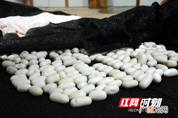 小厂房,家里有小厂房适合什么创业