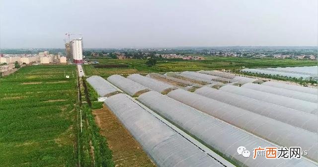 基本农田建大棚申请书 建蔬菜大棚要到哪申请