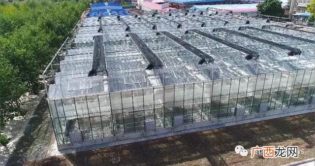 基本农田建大棚申请书 建蔬菜大棚要到哪申请