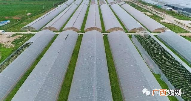 基本农田建大棚申请书 建蔬菜大棚要到哪申请