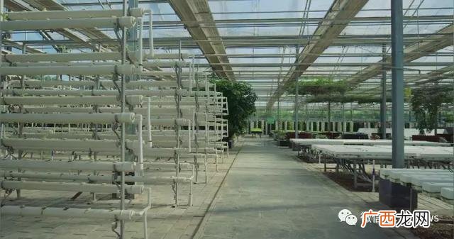 基本农田建大棚申请书 建蔬菜大棚要到哪申请