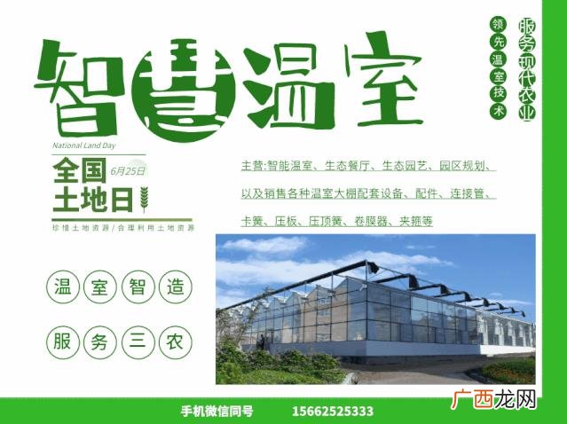 基本农田建大棚申请书 建蔬菜大棚要到哪申请