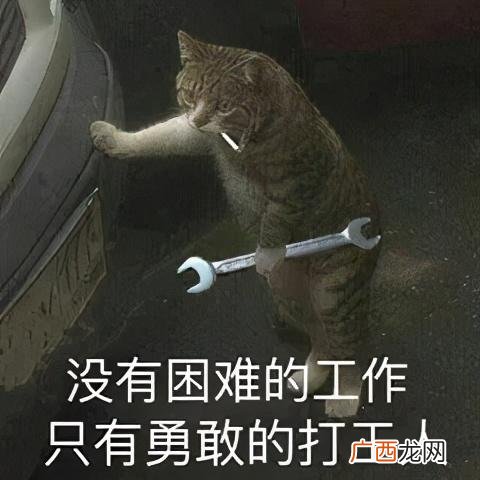 无需本金十分钟赚800 赚钱软件一天赚100元