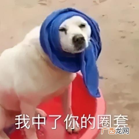 无需本金十分钟赚800 赚钱软件一天赚100元