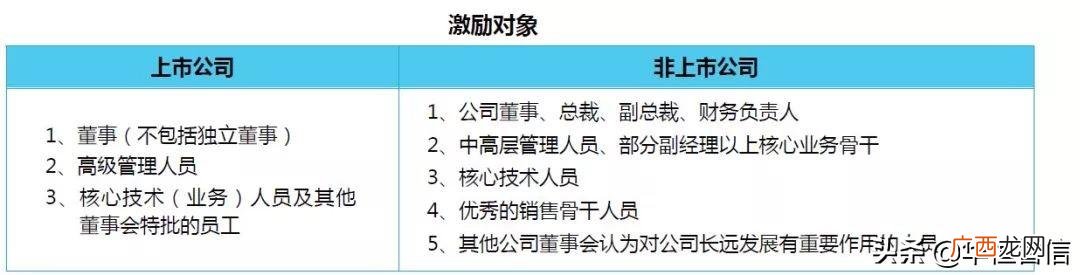 股权分析报告 项目实施方案及未来收益