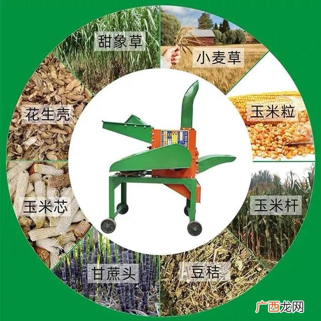 搞养殖国家有补贴吗,农村养殖政府有补贴吗