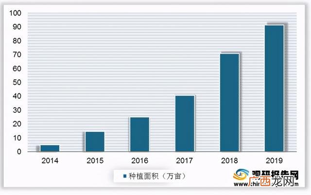 市场分析报告及范文 市场分析报告范文模板