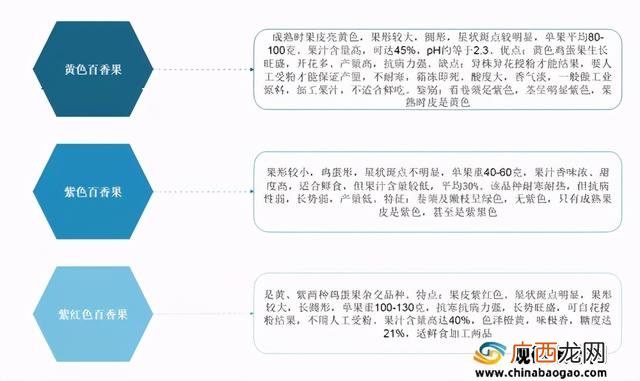 市场分析报告及范文 市场分析报告范文模板