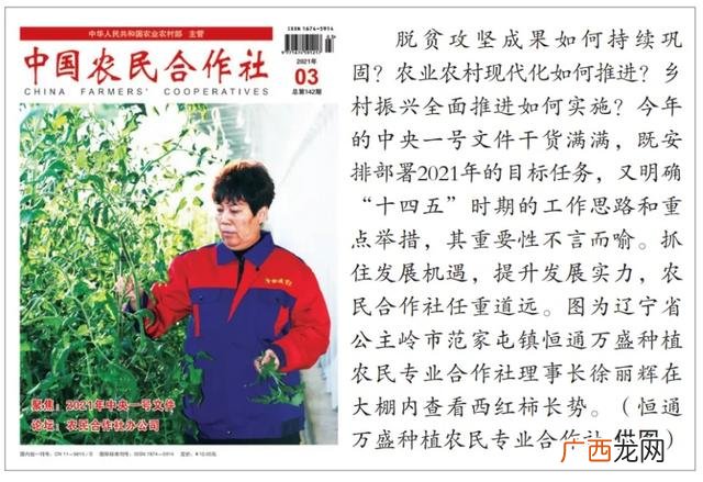 回河南农村干什么挣钱,农村干啥能挣点钱呢有种植合作社