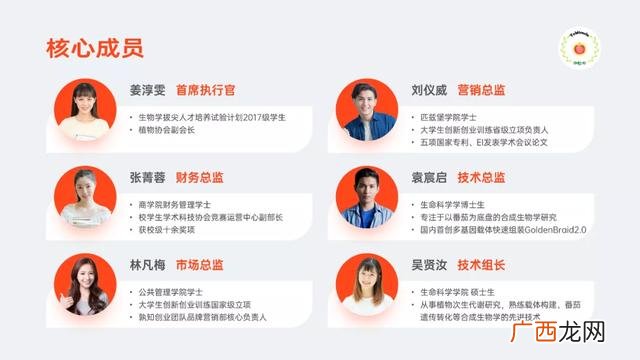 创新创业ppt案例免费,大学生创业项目ppt免费