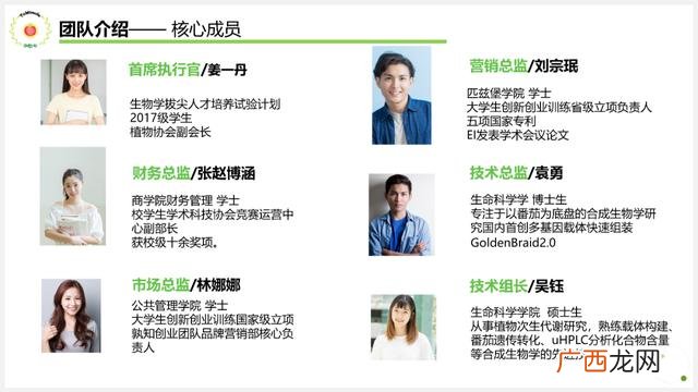 创新创业ppt案例免费,大学生创业项目ppt免费