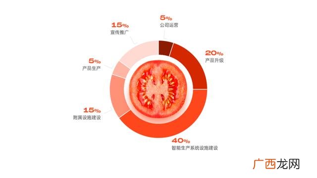 创新创业ppt案例免费,大学生创业项目ppt免费