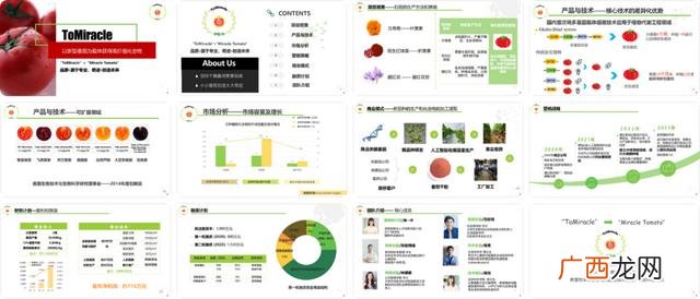 创新创业ppt案例免费,大学生创业项目ppt免费