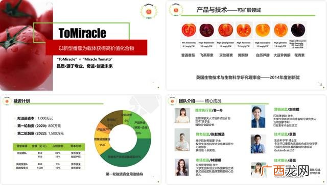 创新创业ppt案例免费,大学生创业项目ppt免费