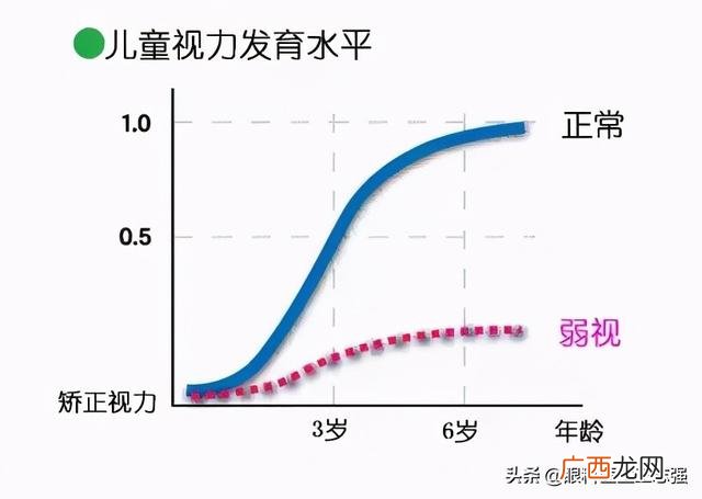 视力不良的判断标准 低视力定义