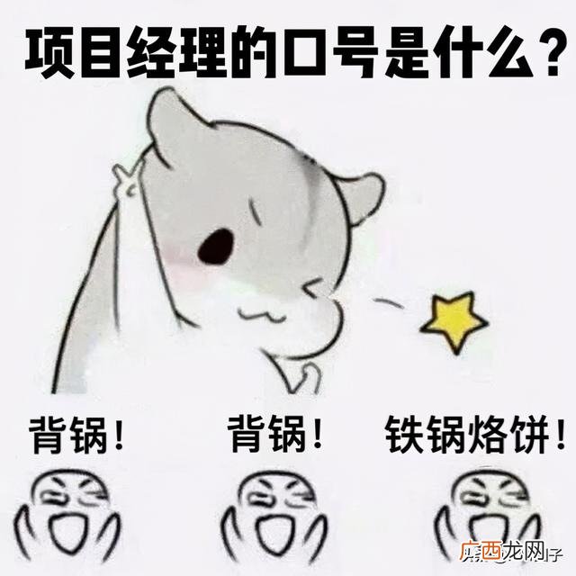 项目经理职责 项目经理资格证图片