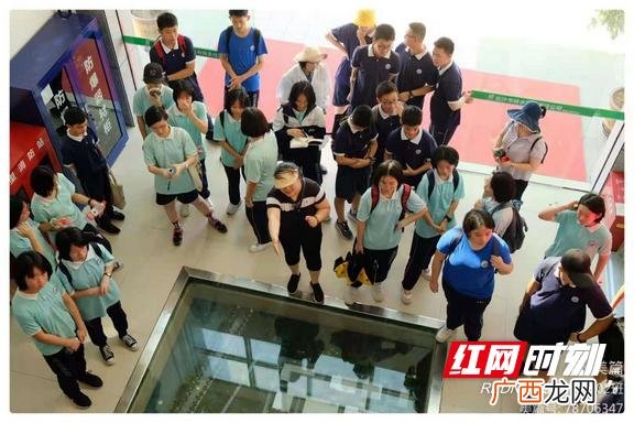 环保社会实践报告,环保项目可行性报告范文
