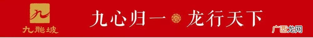 居家创业,互联网居家创业带队