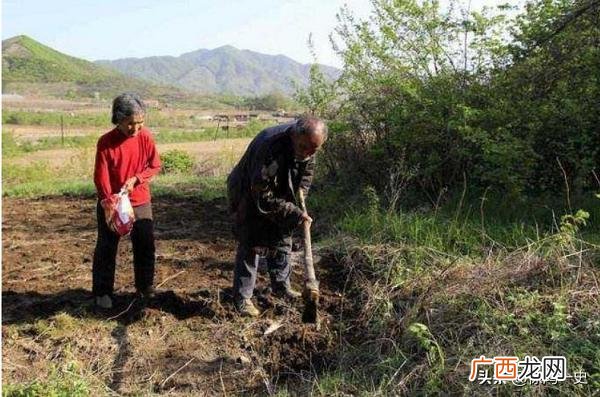 大学生创新创业点子300 80多岁创业案例