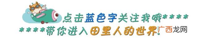 淘宝一件代发怎么赚钱,淘宝开店代销能赚钱吗