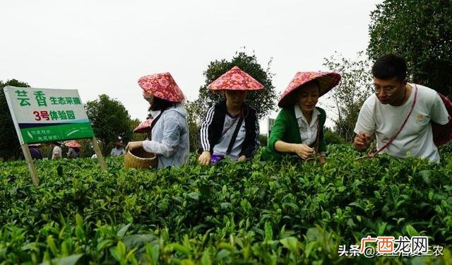 当下不花钱的好的致富门路,热门的不花钱的创业门路