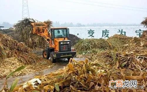 当下不花钱的好的致富门路,热门的不花钱的创业门路