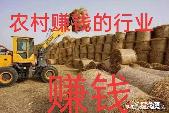当下不花钱的好的致富门路,热门的不花钱的创业门路
