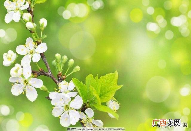 手工活送货上门在家里做,自己加工手工活