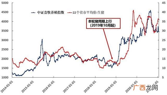 猪肉板块基金代码,养猪企业上市公司股市
