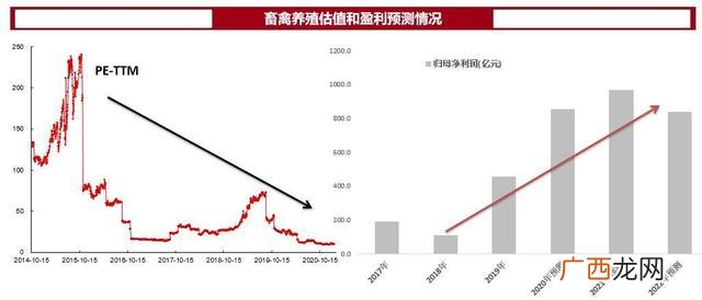 猪肉板块基金代码,养猪企业上市公司股市