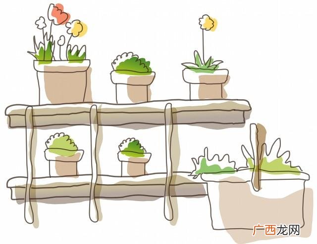 2021最火赚钱项目,创业致富的项目