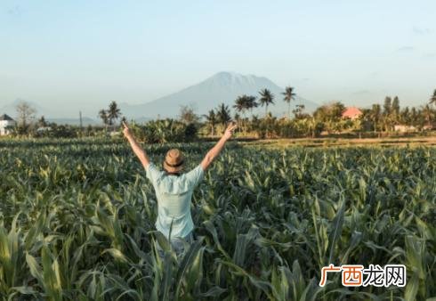 创业网致富网 u创业网