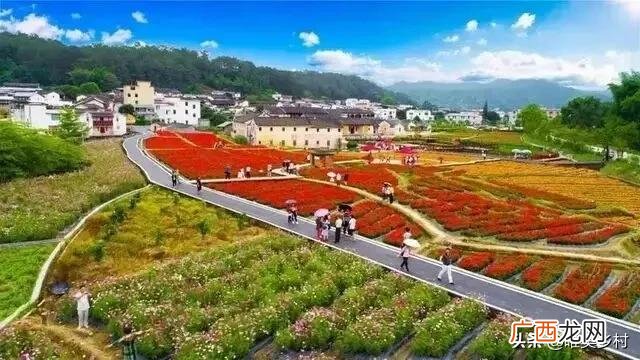 旅游策划案范文 旅游项目运营实施方案