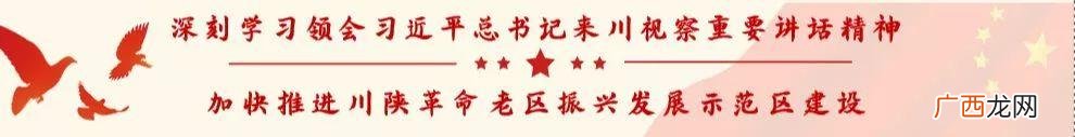 创青春创业大赛作品ppt 创青春创业大赛策划书模板