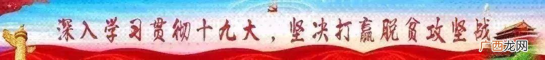 创青春创业大赛作品ppt 创青春创业大赛策划书模板