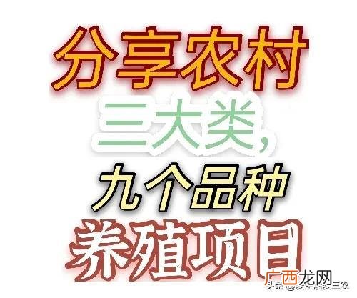 现在做什么创业好,现在还有什么创业机会