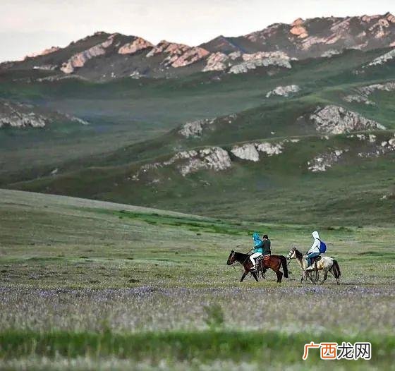 旅游项目的特点 举例旅游项目