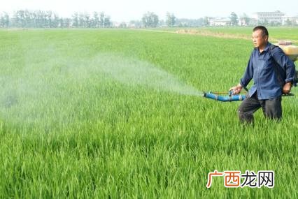 女生在家自主创业项目 就业创业情况简介
