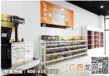 长沙 零食加盟店10大品牌 有哪些小吃加盟店