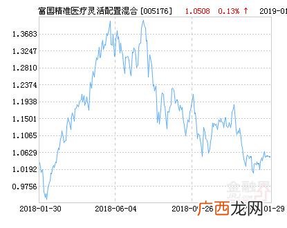 富国精准医疗混合历史净值,富国创业板指数基金净值161022