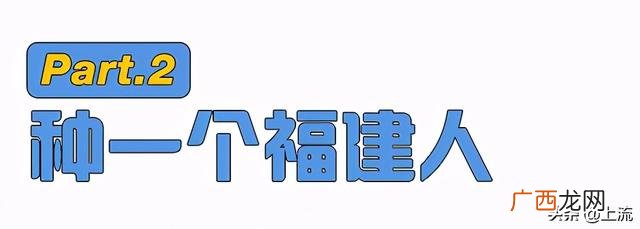 非洲保护区靠什么盈利 去非洲创业群
